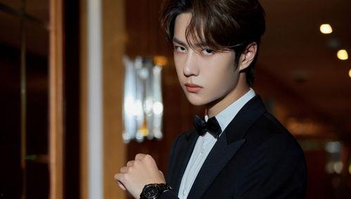 老王爆料王源视频大全,老王爆料视频大全，带你领略偶像魅力